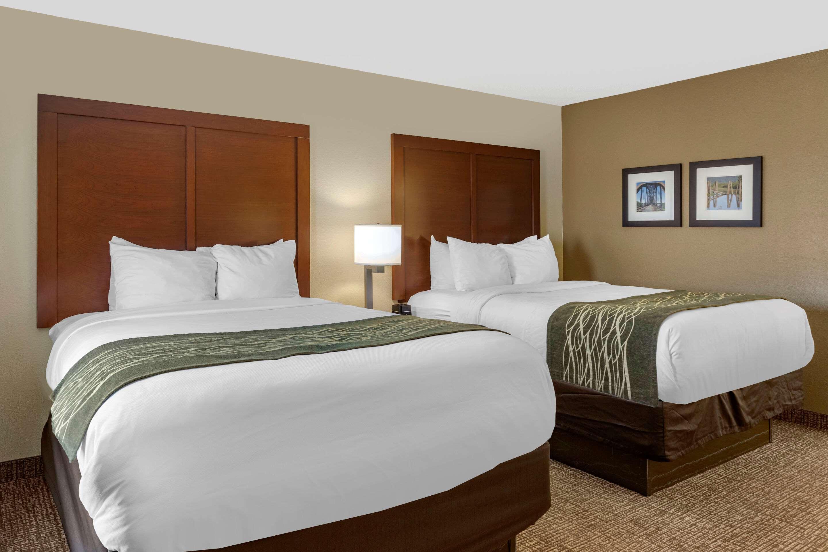 Comfort Inn & Suites Airport Little Rock Buitenkant foto